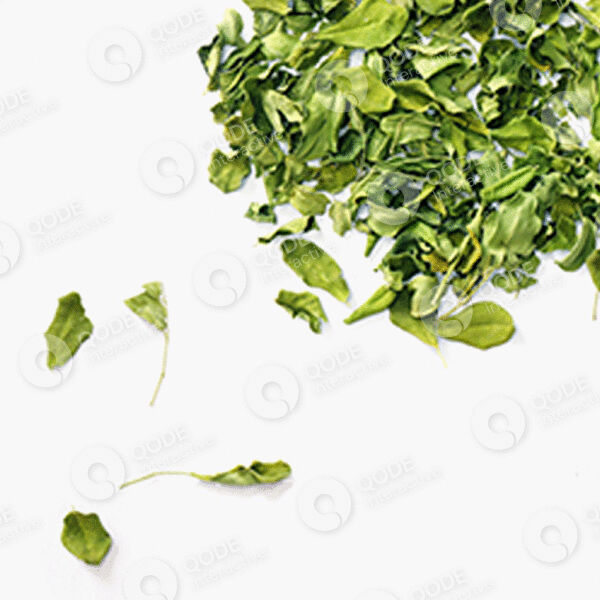 shop-img-03-gallery-02 a