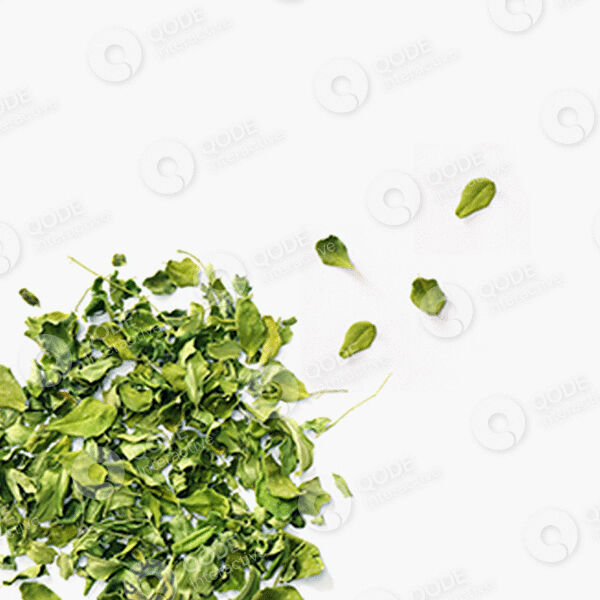 shop-img-03-gallery-03 a