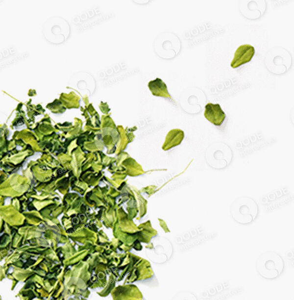 h1-product-03-gallery-02 a